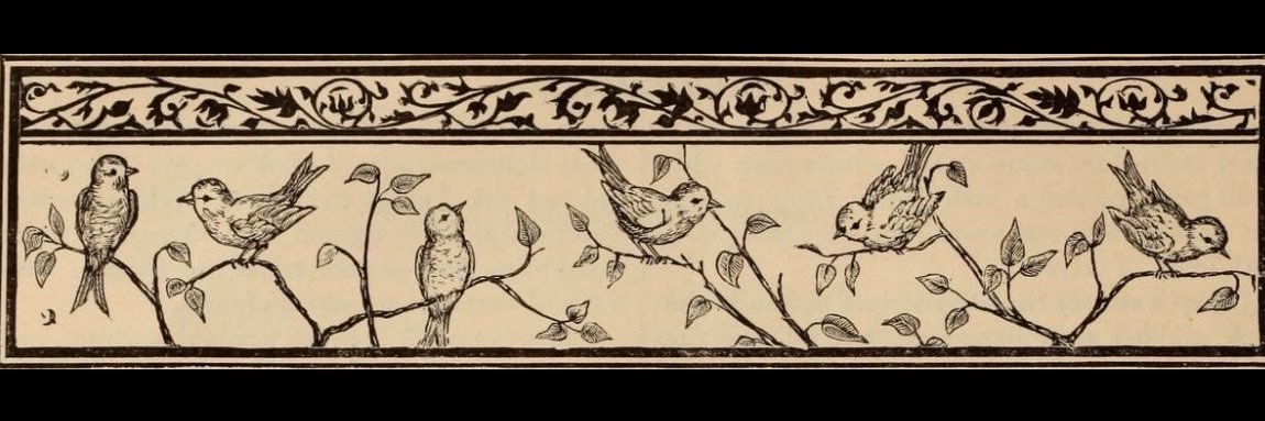 zeynoderlerrx's profile banner image