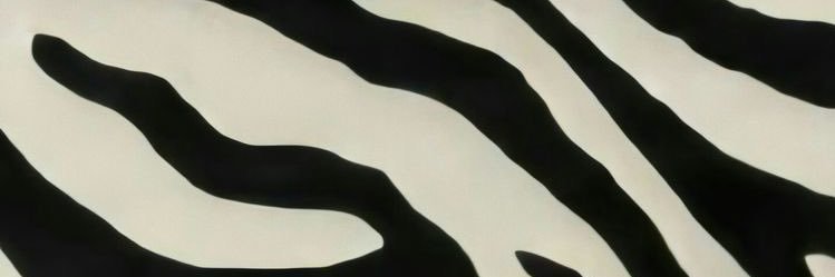 Lidia_Justo's profile banner image