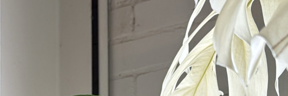 gwillgonzo's profile banner image