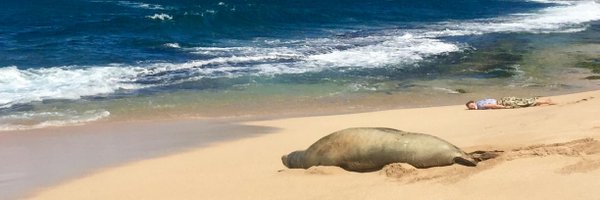 MAPdonnelly Profile Banner