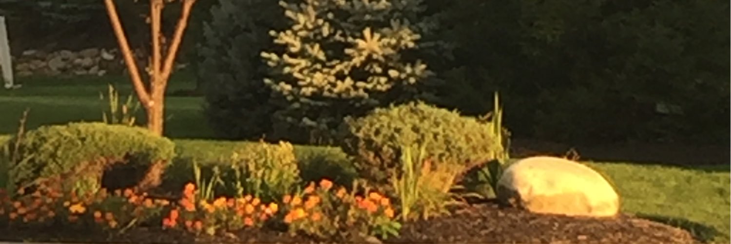 ACarile1's profile banner image