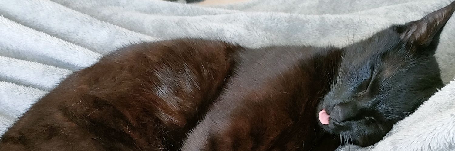 pakelila's profile banner image