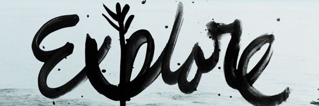 grace ardinda banner