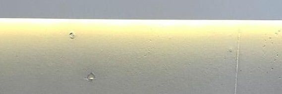 元女子大生 banner