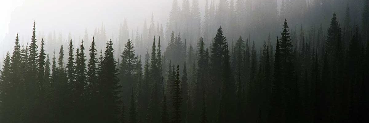 Gretabevecaffe's profile banner image