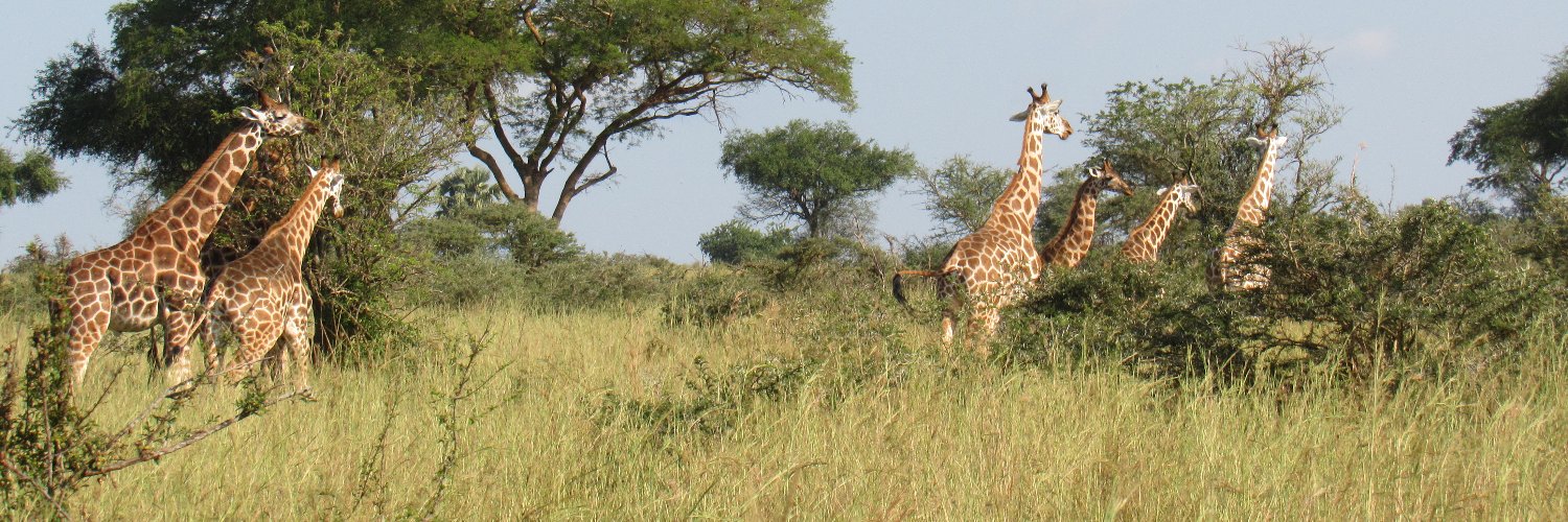 Focused Conservation banner