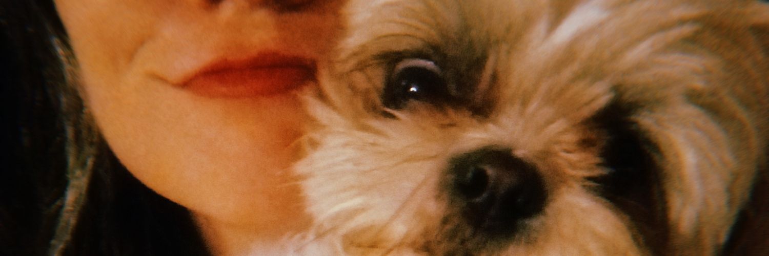 ceecigonzalez2's profile banner image