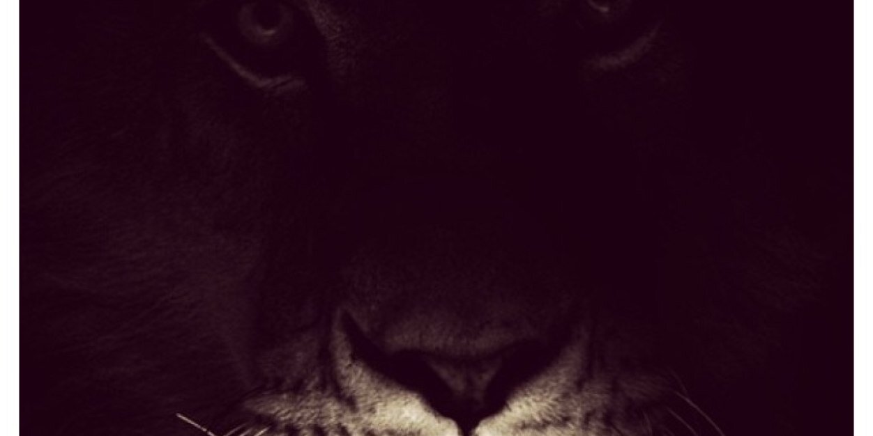 rberardit's profile banner image