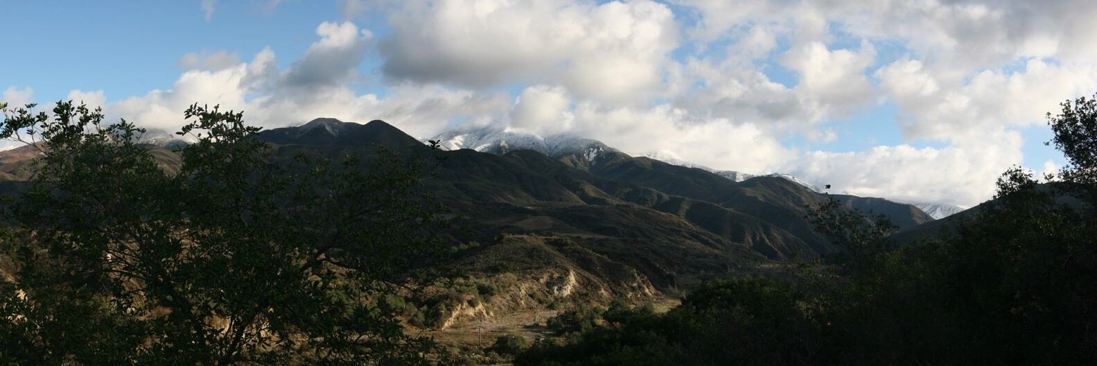 ecostride's profile banner image