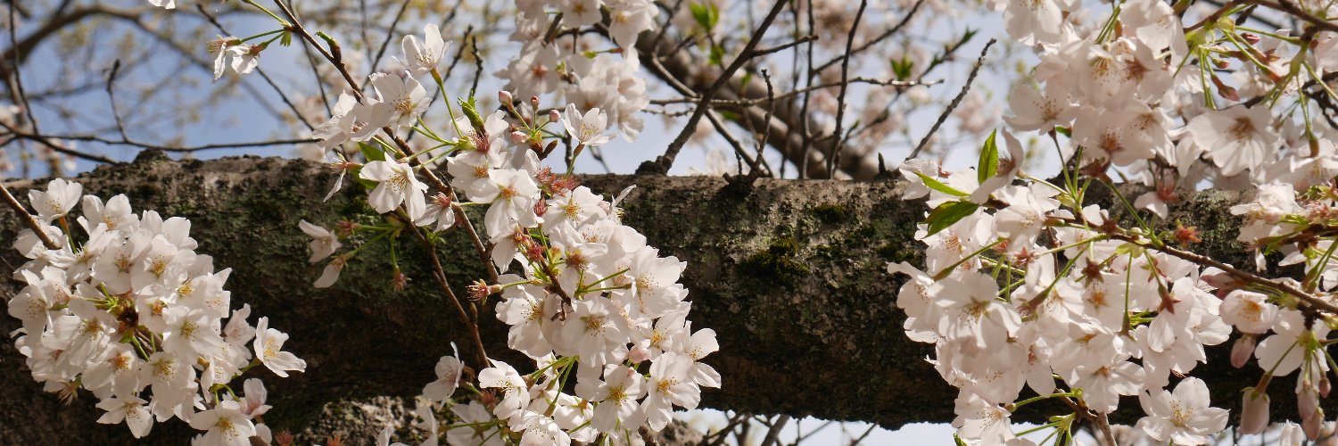 flowl01's profile banner image