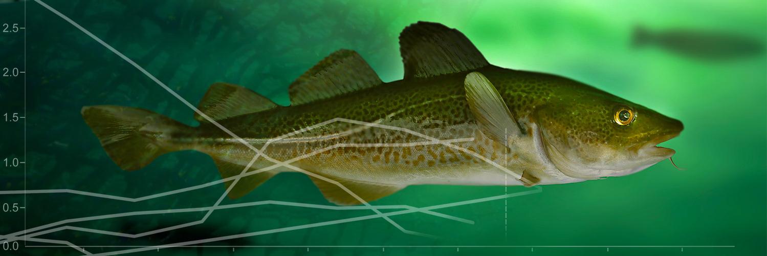 catchsharestudy's profile banner image