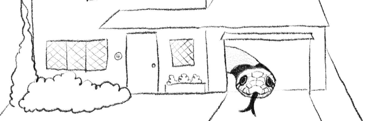 NxK🔪🇦🇲🇧🇷 banner