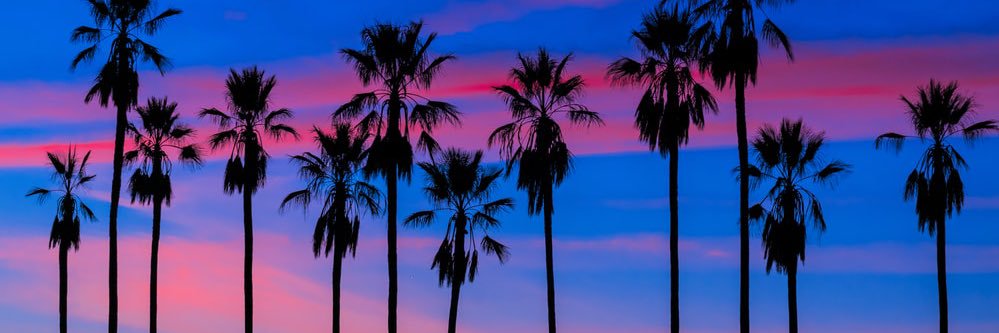 J_Rose90's profile banner image