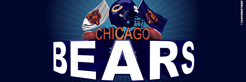 BearsSoxFan banner