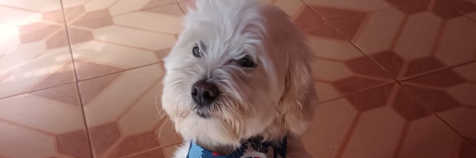 Betania Estigarribia banner