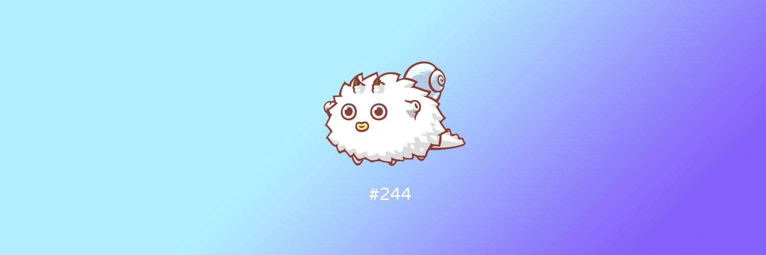 Axie244 banner