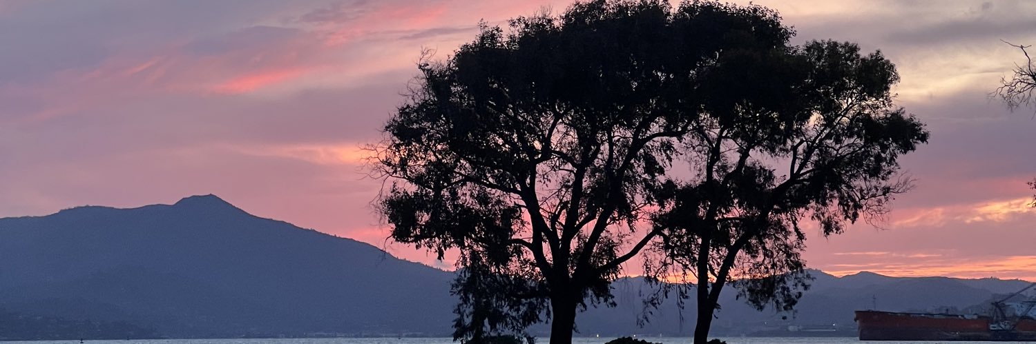 ashleythegoon's profile banner image