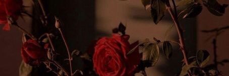 leon_zl's profile banner image