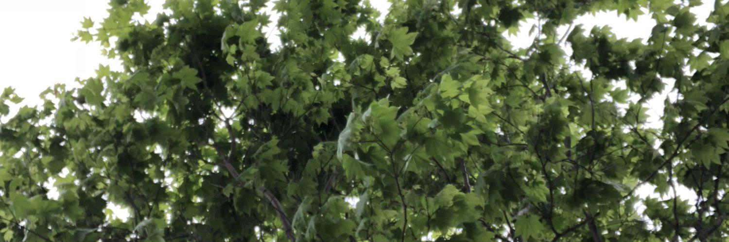 札幌　取引 banner