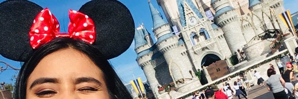 perlitapen's profile banner image