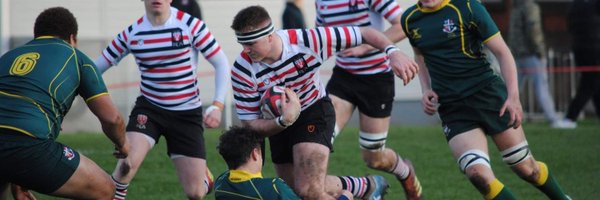 dormer_mark Profile Banner