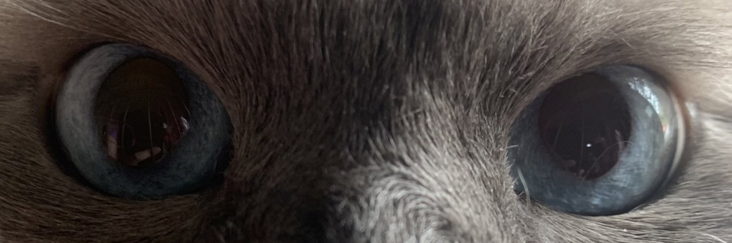 cc🌻 banner