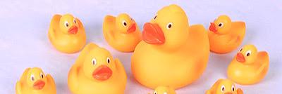 queenduck2's profile banner image