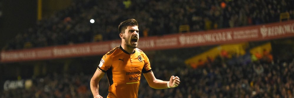 For We Are Wolves banner