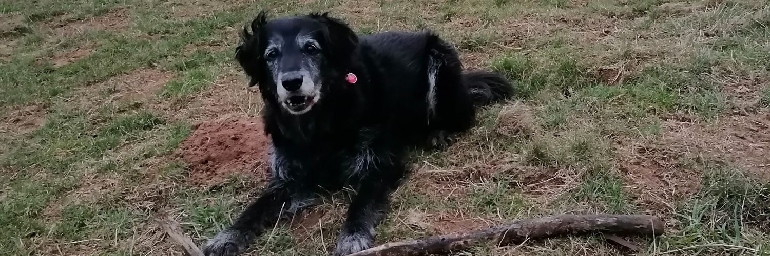 BethanyAlice07's profile banner image