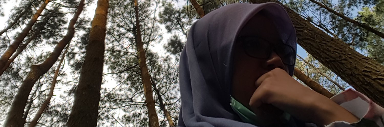 tikalestar's profile banner image