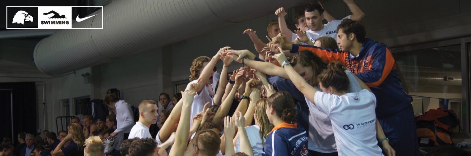 Carson-Newman Swim banner