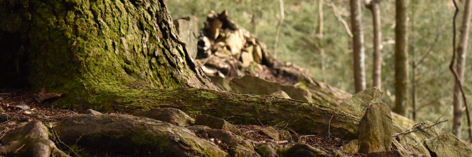 EvanKunz2's profile banner image