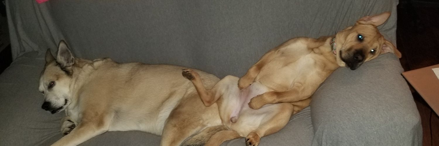 _easy_mac_'s profile banner image