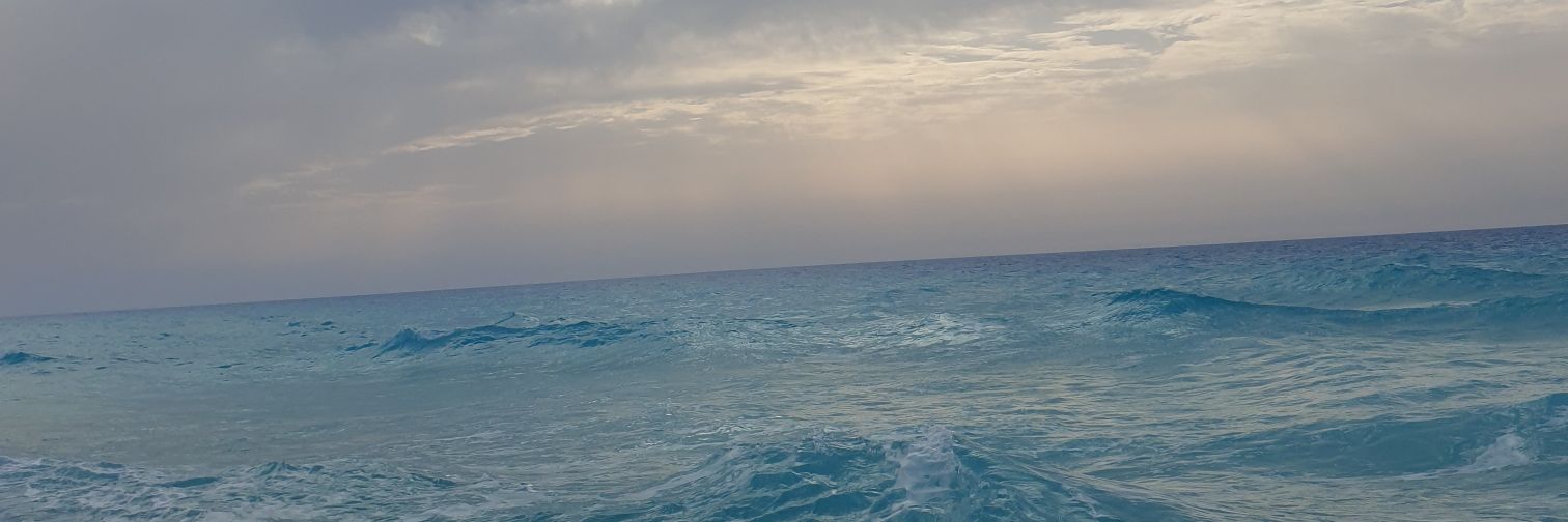 MostafaMfotouh's profile banner image