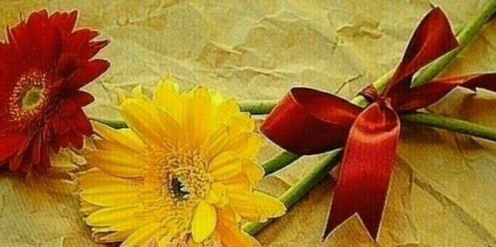 mee231231's profile banner image