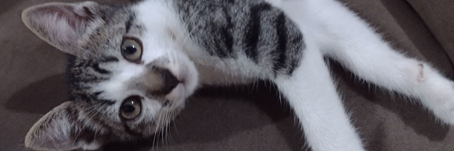 Nopfucks's profile banner image