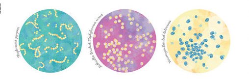 Chelsea Mitchell banner