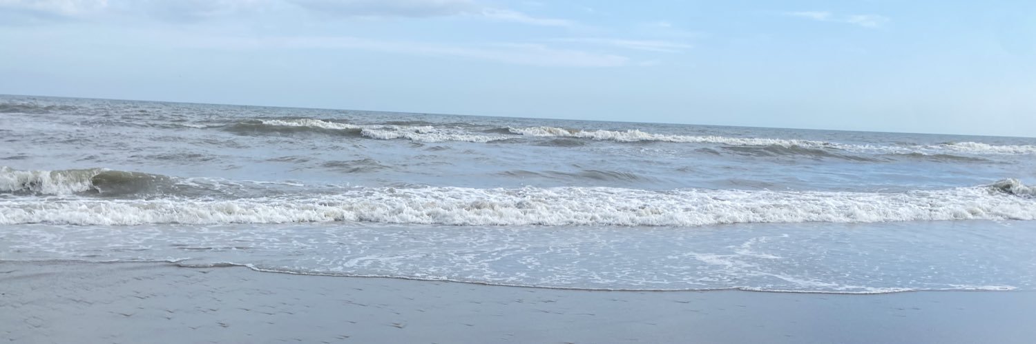 rachelovermeyer's profile banner image