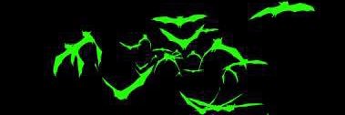 Shego banner