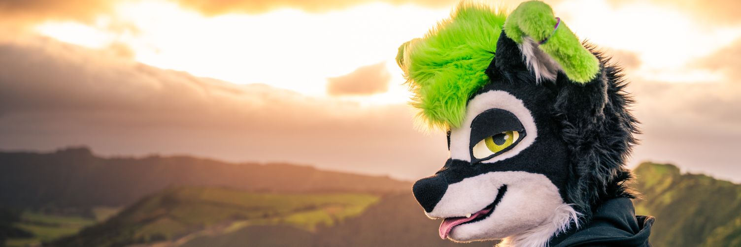 StarFoxCoon, ATT banner
