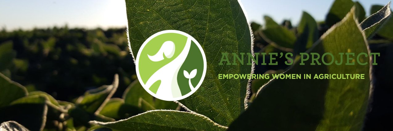 Annie's Project banner