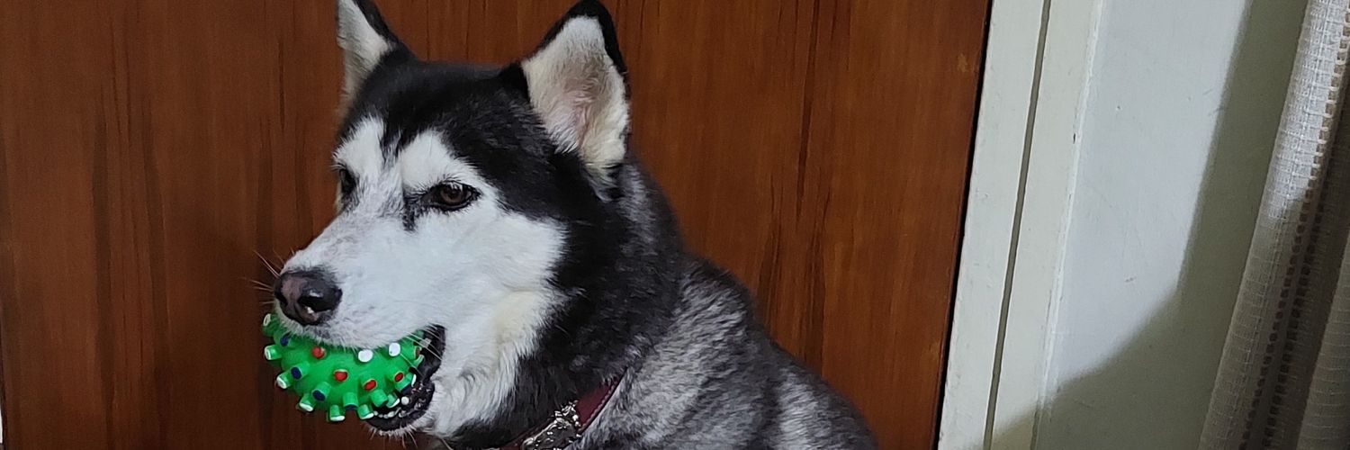 nengcalis's profile banner image
