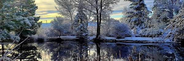 NaomiDuerr Profile Banner