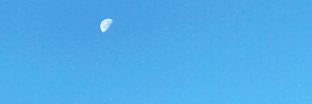 かとうみほ banner