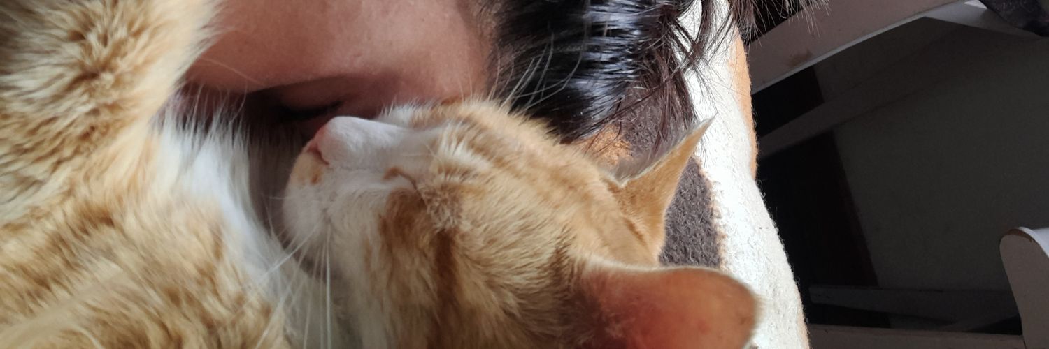 Luvaras_'s profile banner image