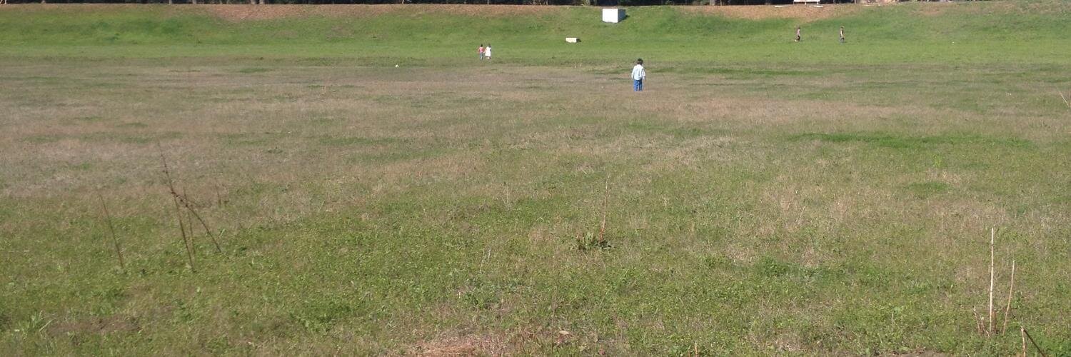 Alexander Key banner