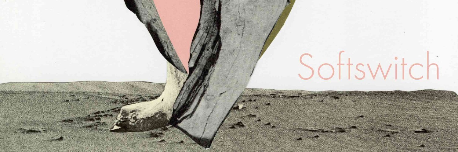 softswitchband's profile banner image