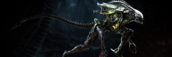 Ssaxir Profile Banner