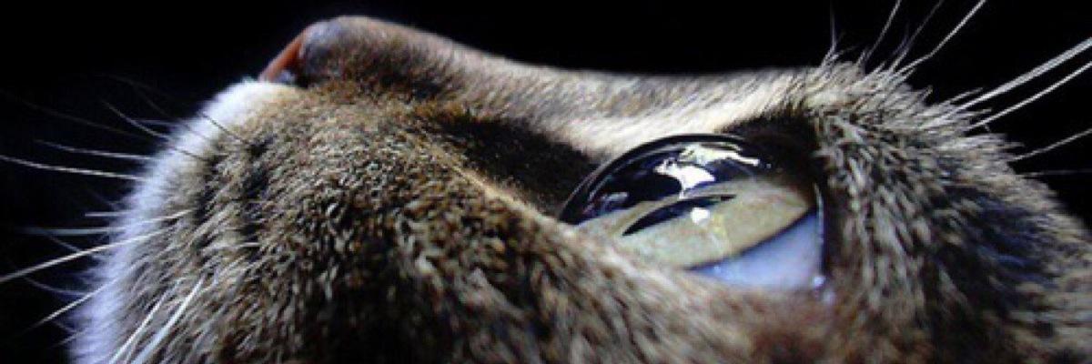 adhityaPratm's profile banner image