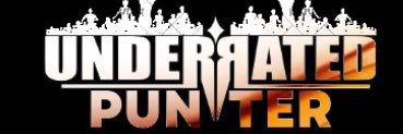 UNDERRATED PUNTER banner